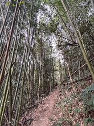 台中深度旅遊